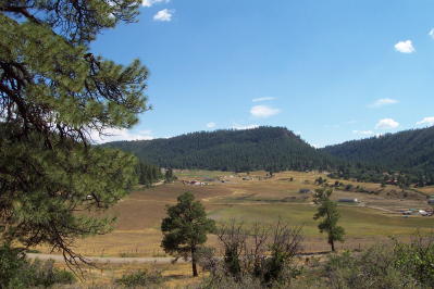 Aspen Springs Landscape