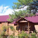 North Pagosa Springs Home