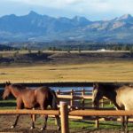 Upper hwy 84 pagosa horses ranch