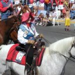 pagosa springs parade horse