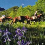 Pagosa springs horseback riding