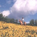 Pagosa springs horseback riding