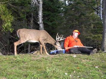 Pagosa springs deer hunting