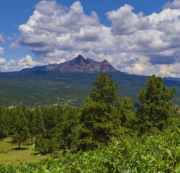 750 Invitation Cir, Chromo 81128