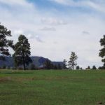 Chris Mountain Ranch land