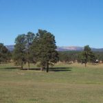 Chris Mountain Ranch land