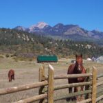 Eagle Peak Ranch ranch horses