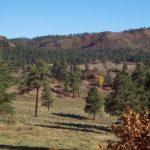 Mill Creek Meadows Ranch landscape