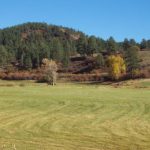 Mill Creek Meadows Ranch farm ranch