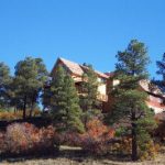 home pagosa in the pines