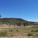 The Reserves at Pagosa Peak farm ranch