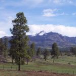 The Reserves at Pagosa Peak landscape