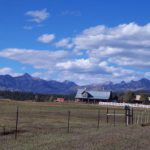 Tierra del Oro farm ranch