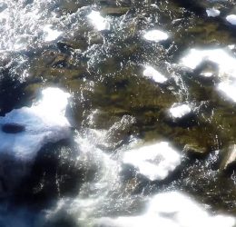 snow in the river pagosa