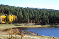 Representative photo of Emerald Lake Ranch